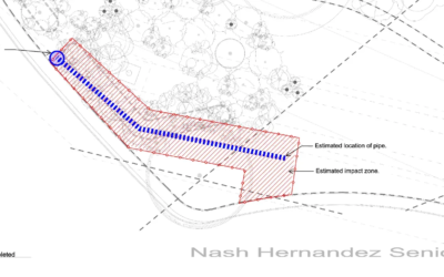 Festival Beach Food Forest Needs Our Help