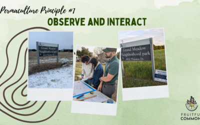 Permaculture Principle #1: Observe and Interact