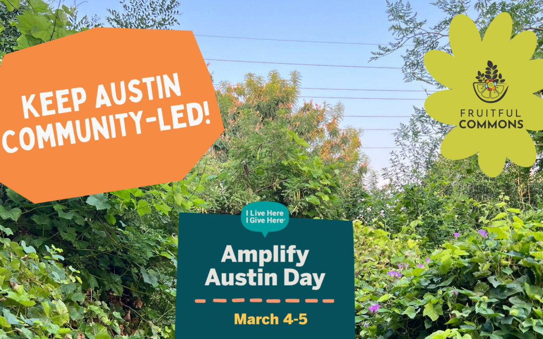 Amplify Austin Day: Keep Austin Community-Led