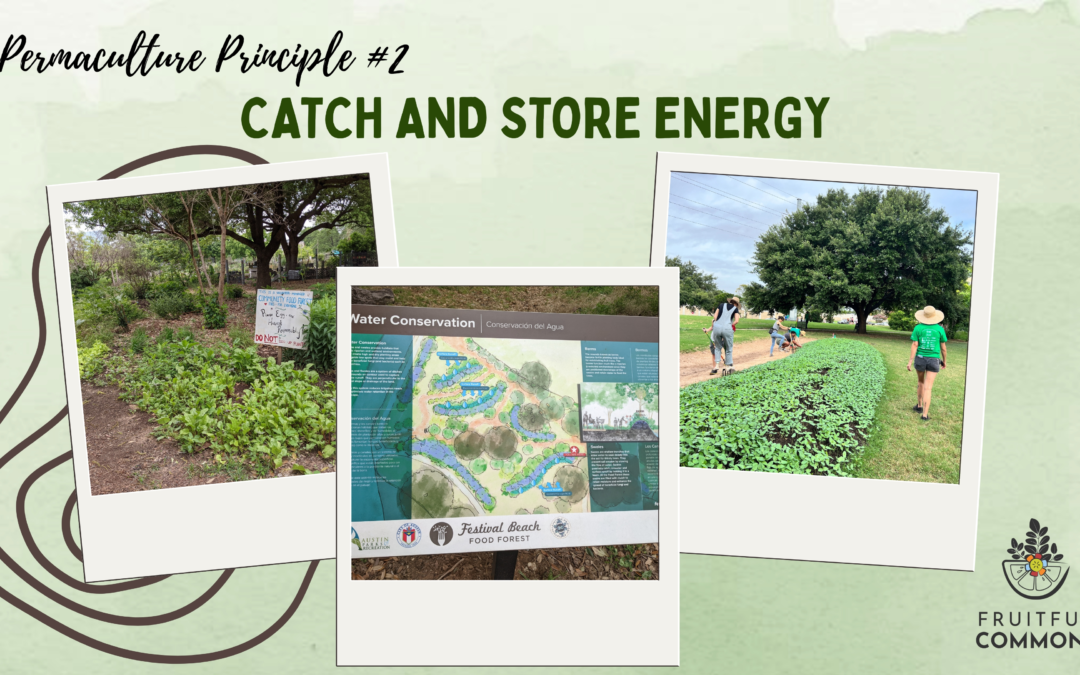Permaculture Principle #2: Catch and Store Energy