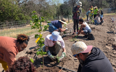 Gathering of Growers: Tree Planting Workshop at St. John Faith Community Garden