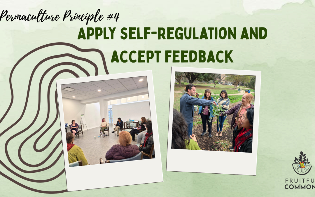 Permaculture Principle #4: Accept Feedback and Self-Regulation
